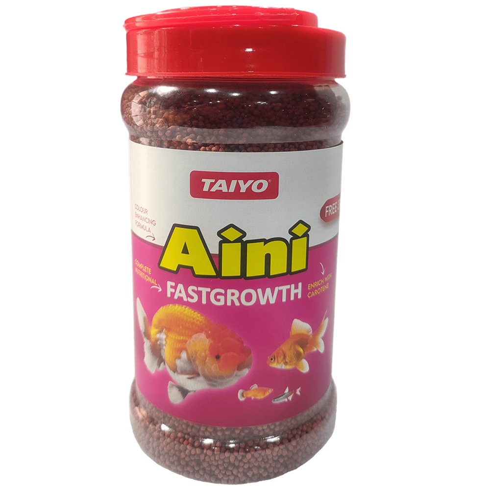 Aini Fast Growth