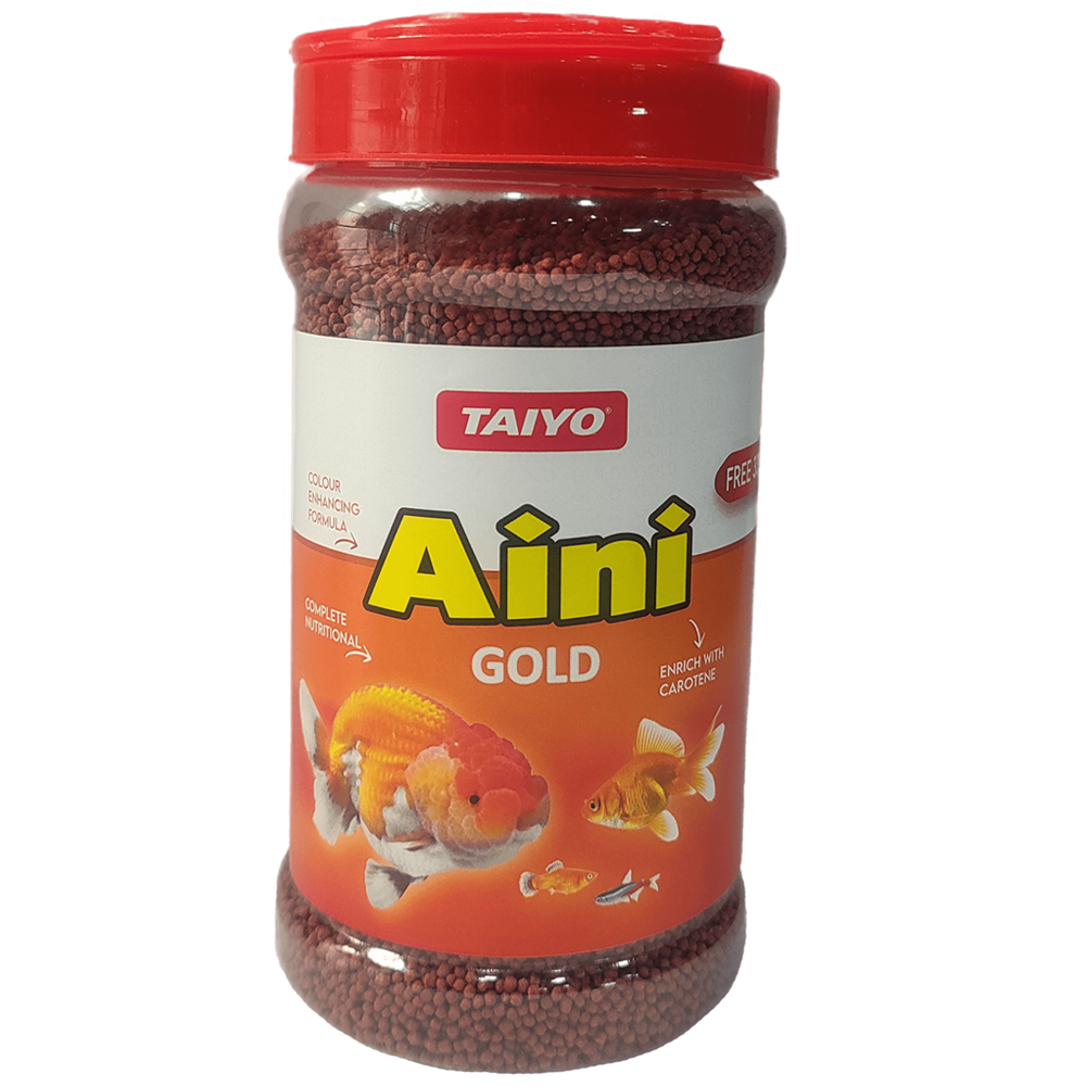 Aini Gold