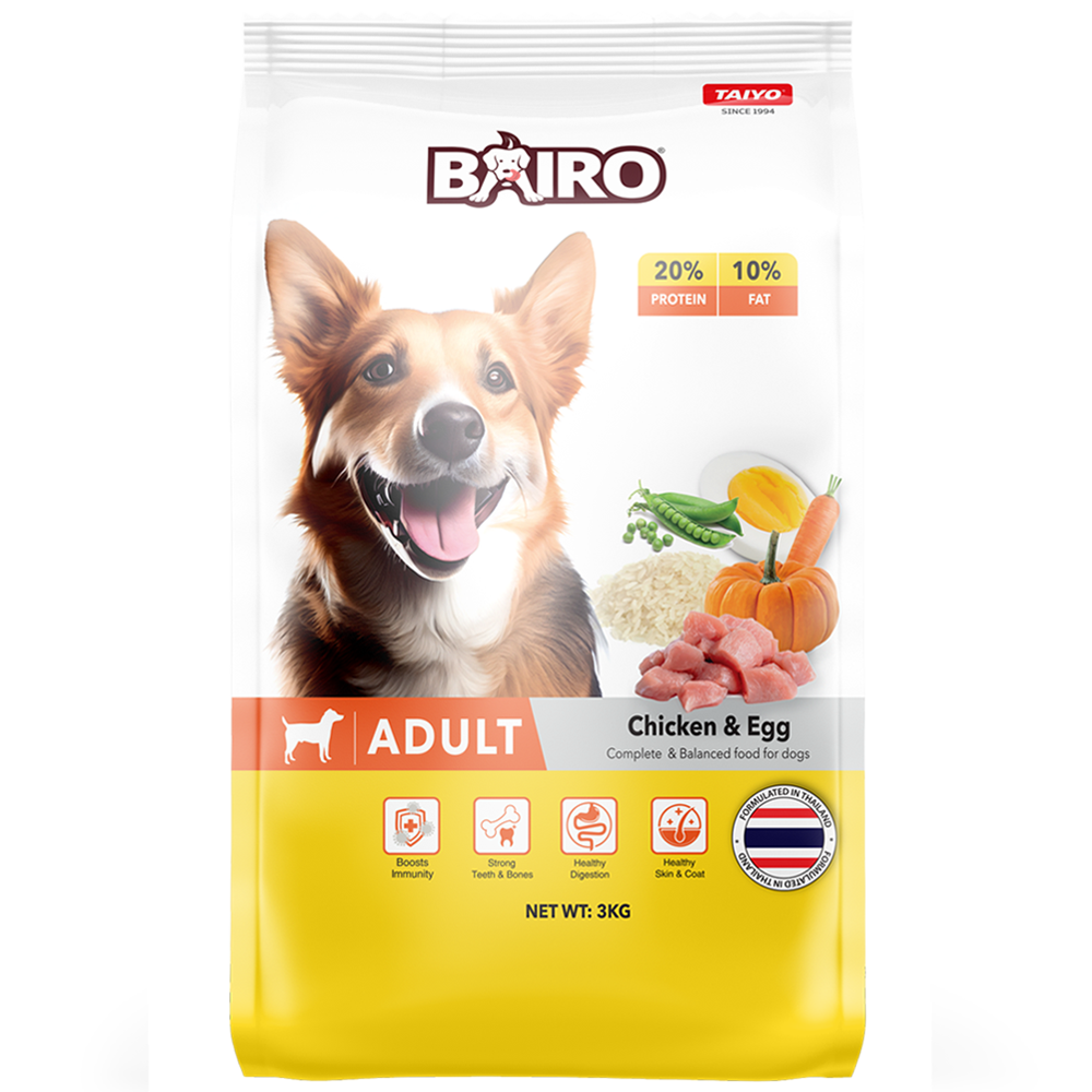 Bairo Adult Chicken Egg Front