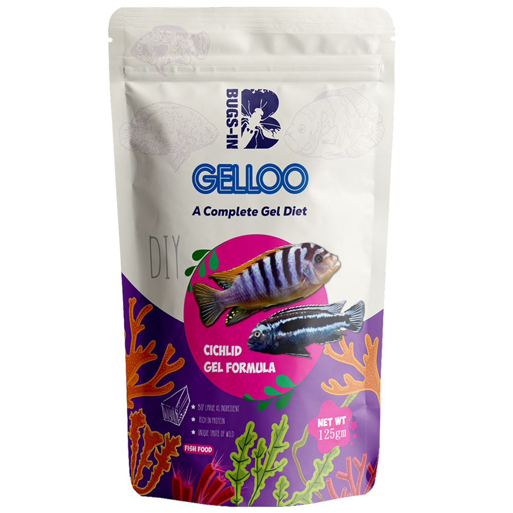 Bugs IN Gelloo Cichlid Gel Formula Front Bugs IN Gelloo Cichlid Gel Formula Front