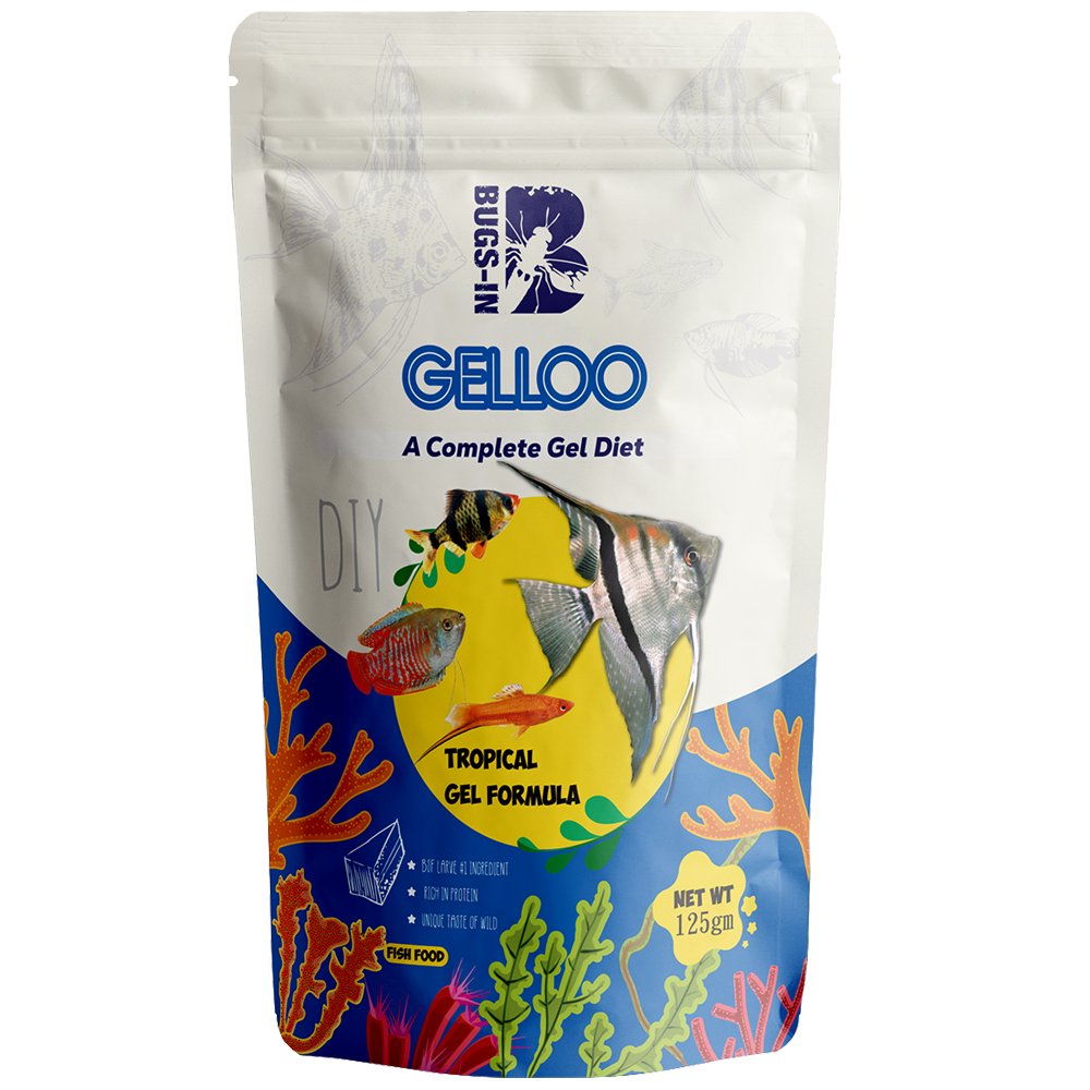 Bugs IN Gelloo Tropical Front Bugs IN Gelloo Tropical Front