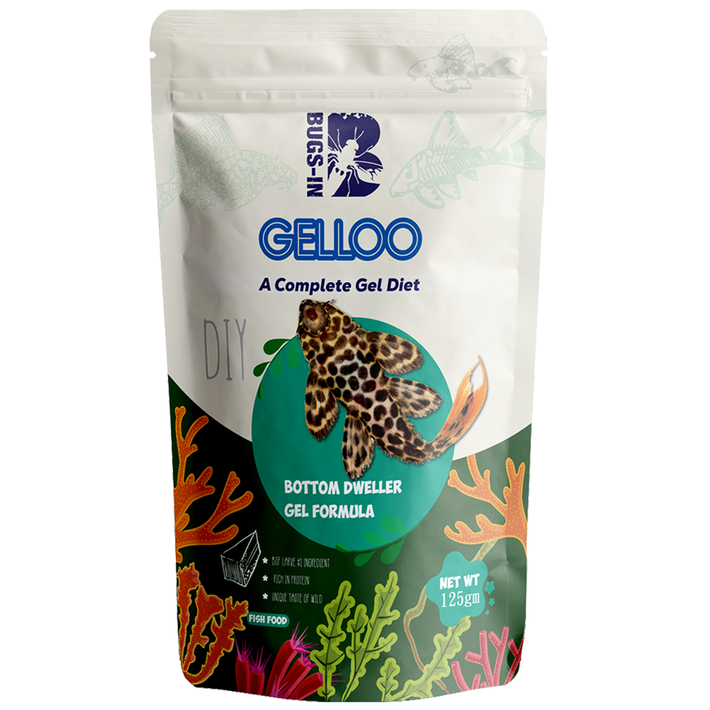Bugs In Gelloo Bottom Dweller Front Bugs In Gelloo Bottom Dweller Front