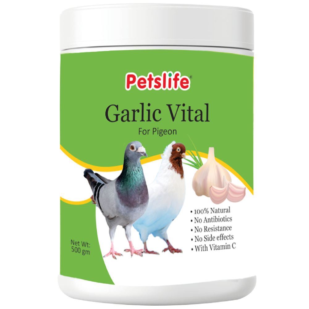 Garlic Vital