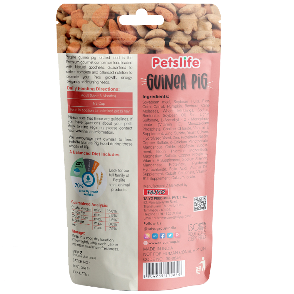 Guinea Pig Back Guinea Pig Back