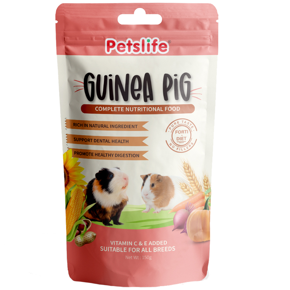 Guinea Pig Front Guinea Pig Front