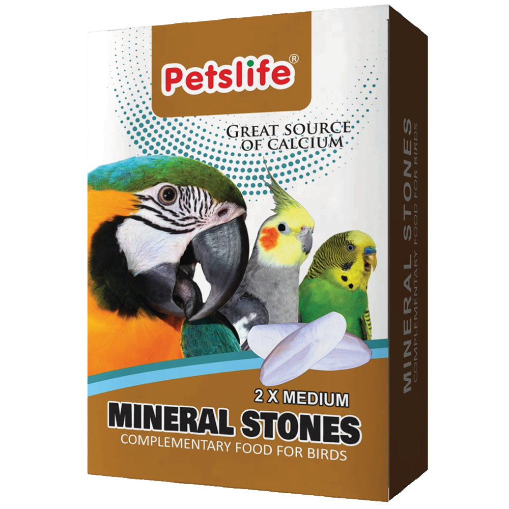 Mineral Stone Calcium 1