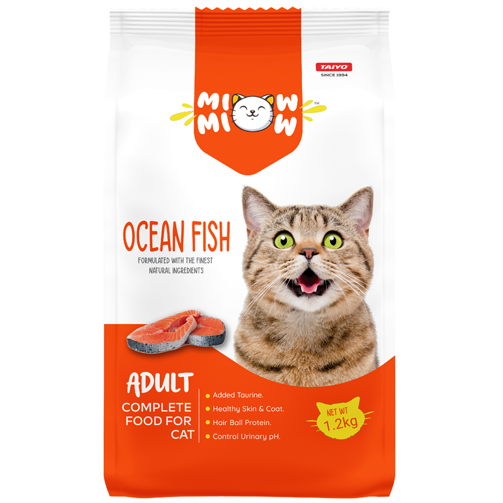 Miow Miow Adult Ocean Fish Front