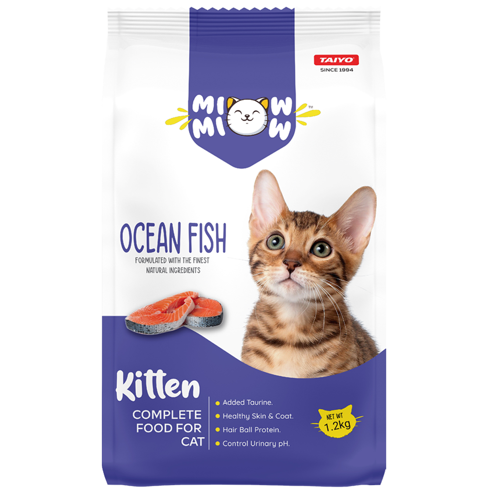 Miow Miow Kitten Ocean Fish Back