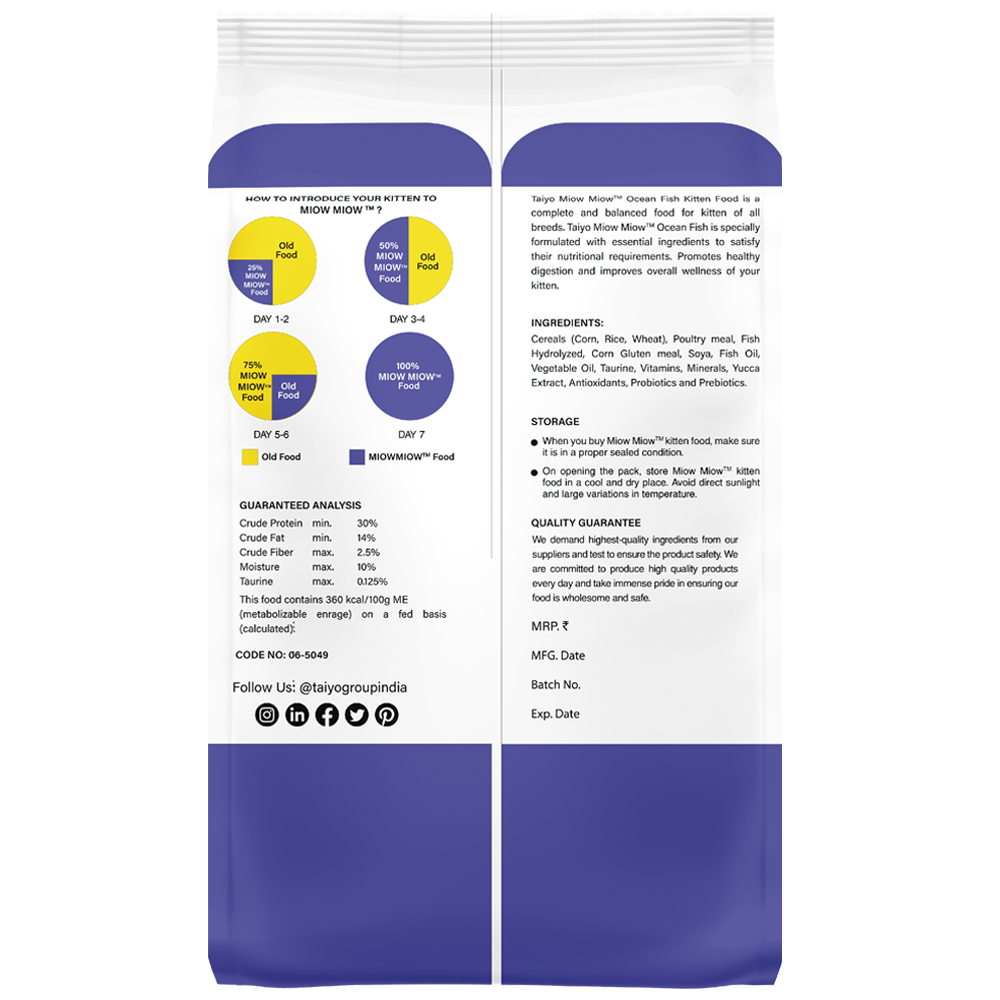 Miow Miow Kitten Ocean Fish Front