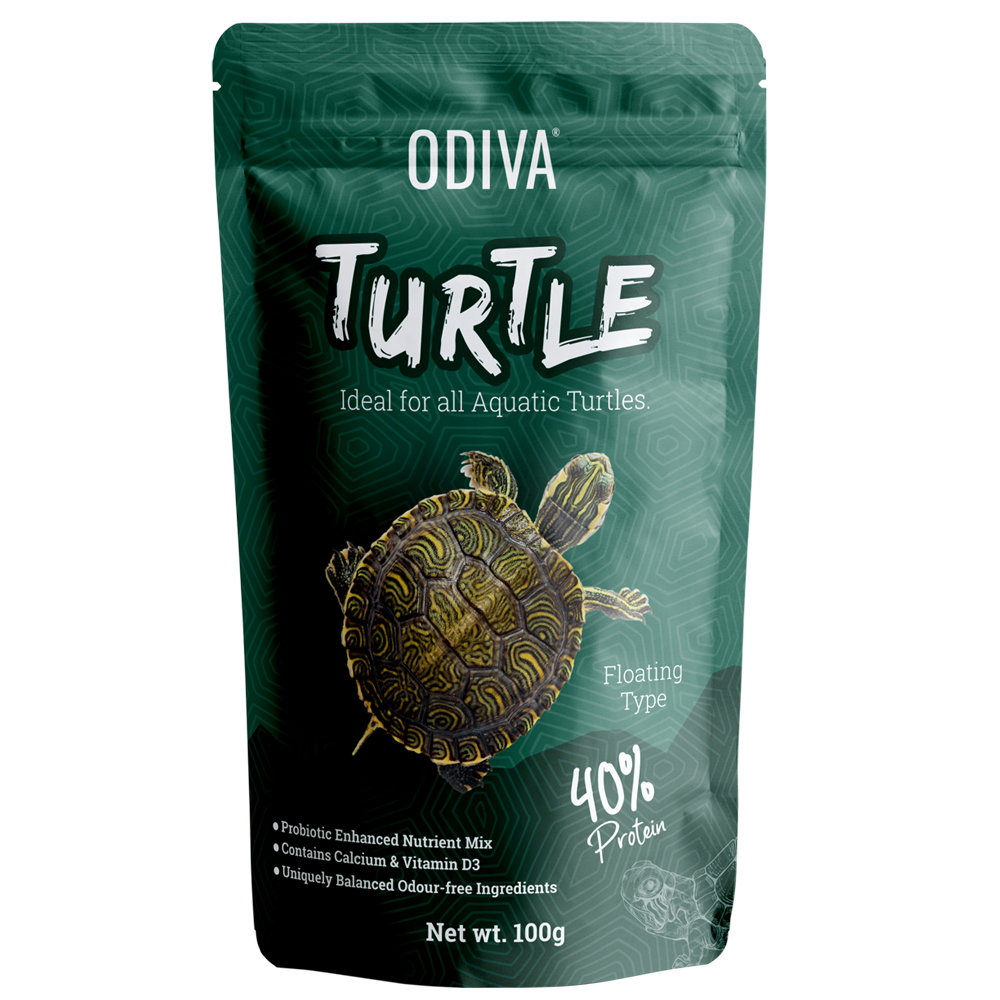 ODIVA TAIYO TURTLE FRONT ODIVA TAIYO TURTLE FRONT