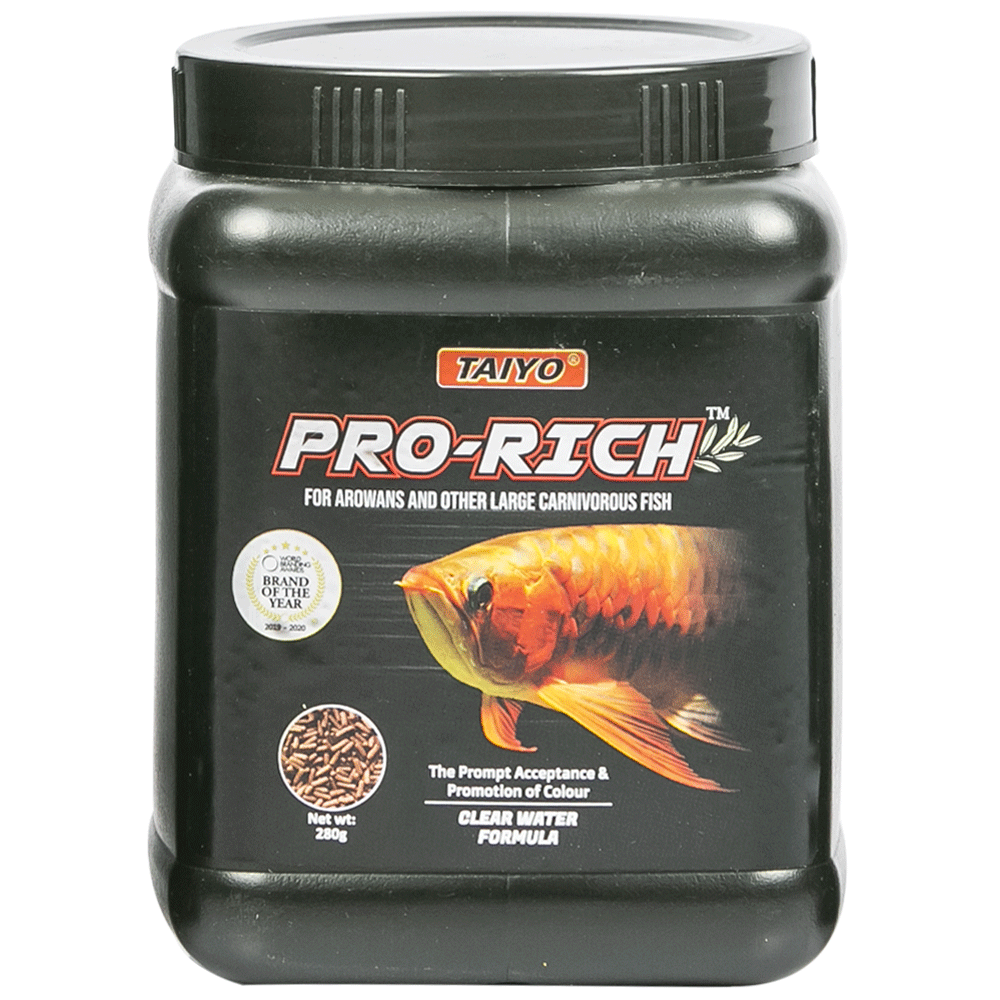 Prorich Arowana Front Prorich Arowana Front